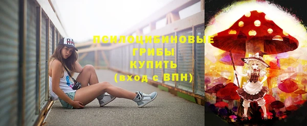 стафф Нягань