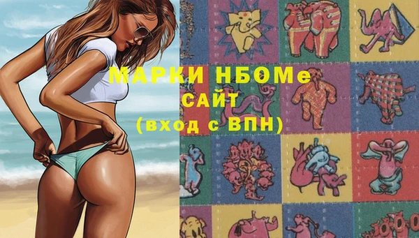 гидропоника Новозыбков