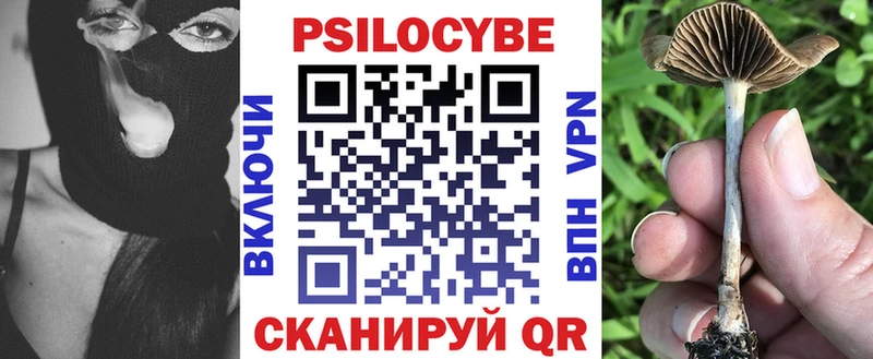 Купить закладки  Нязепетровск  Псилоцибиновые грибы Cubensis 
